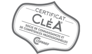Cl c3 a9a branche nettoyage ferroviaire 1
