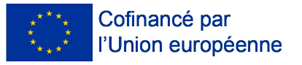 Logo fse 1